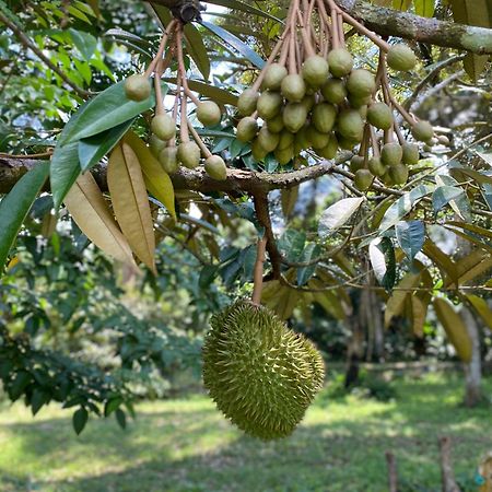カジャン Kebun Puisiヴィラ エクステリア 写真