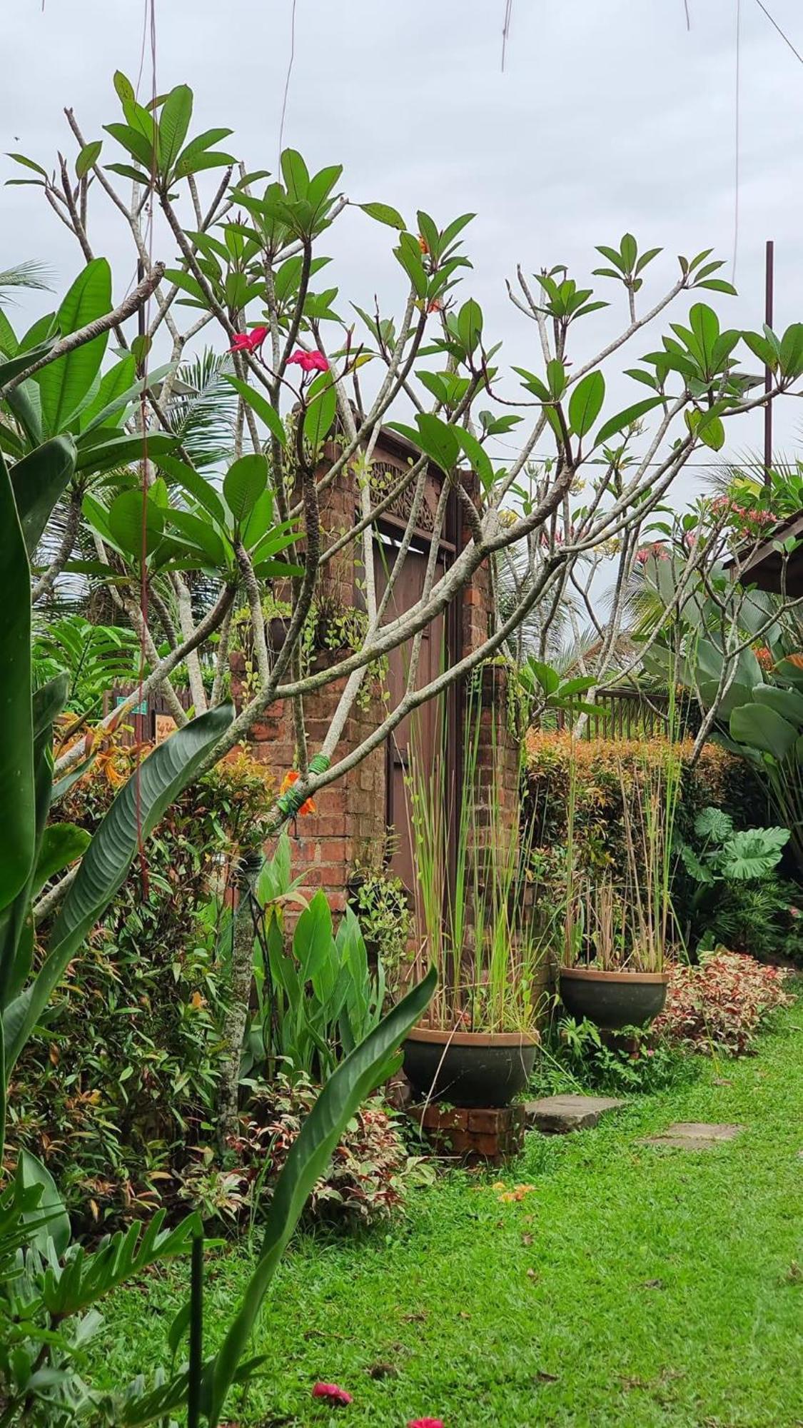 カジャン Kebun Puisiヴィラ エクステリア 写真